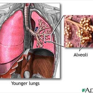 Walking Bronchitis - Cough Remedies - 9 Useful Home Remedies For Cough