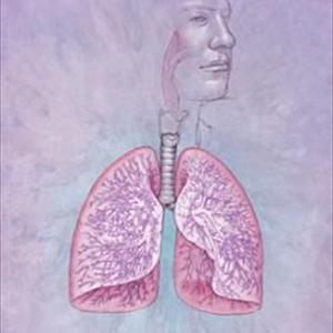 Asthmatic Bronchitis Airways Cough 